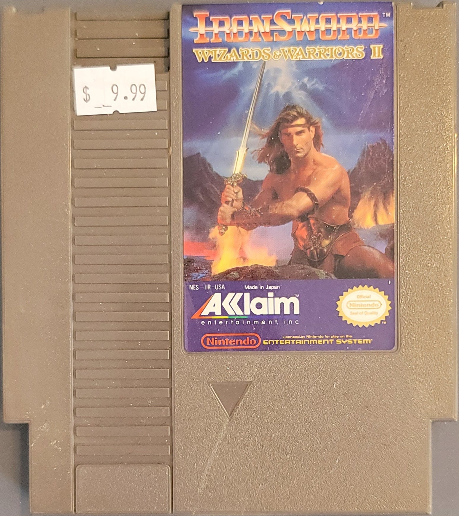 Iron Sword Wizards and Warriors II