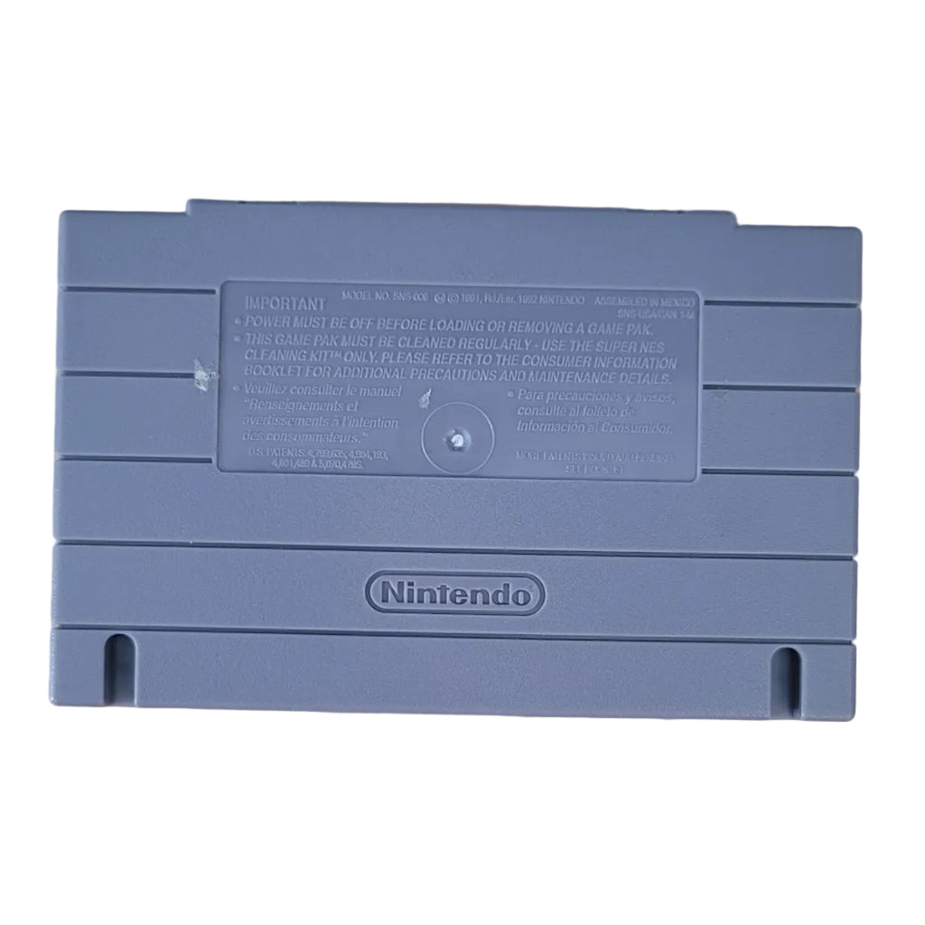 Disney's Goof Troop SNES